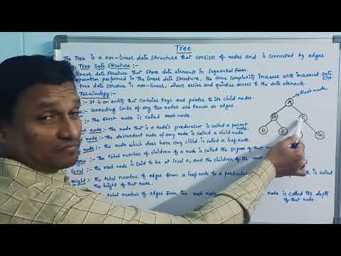 Tree and Tree Terminology in Data Structure | Data Structures | Telugu