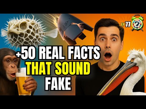 30 MINUTES NON-STOP Cool Things you DIDN'T Know #77