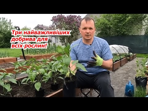 Three fertilizers that will help you grow strong, healthy, and productive plants!