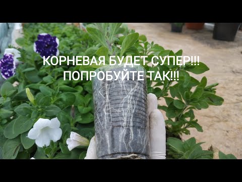 ХОТИТЕ НАРАСТИТЬ МОЩНЫЙ КОРЕНЬ У ВАШИХ РАСТЕНИЙ, ТОГДА ДАВАЙТЕ СДЕЛАЕМ ЭТО ВМЕСТЕ!СПОСОБЫ РАБОЧИЕ!!!