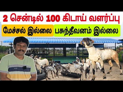 கொடி ஆடு  இரட்டிப்பு லாபத்தை தருகிறது  / மாதம் 1லட்சம் வருமானம் / #ஆடு #ஆடுவளர்ப்பு #goatfarm
