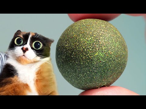 ВОТ ЧТО МЫ КУПИЛИ НА ALIEXPRESS