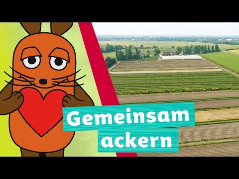 Wie funktioniert eine kooperative Landwirtschaft? | Die Maus | WDR