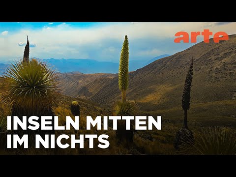 Oasen: Inseln des Lebens | ARTE Fernweh