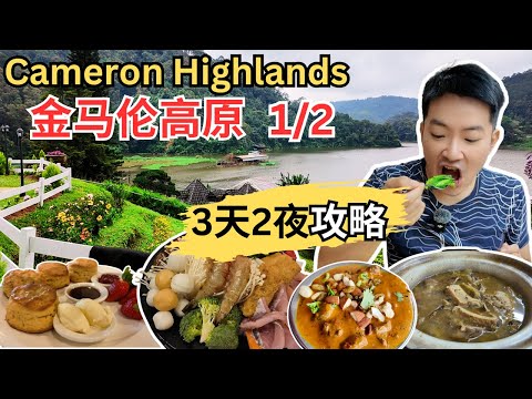 [金马伦高原～三天二夜攻略1/2] Uncle Chow茶室！草莓椰浆饭！The Lord's司康！Jasmine Cafe！有口福！Singh Chapati! Jim Thompson茶室下午茶！
