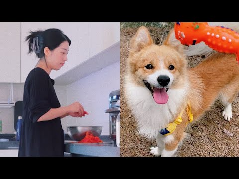 #169 Vlog I 나의 루틴한 시골살이 I 건강 식단 시작 I 책 추천 I 1일 1산책 I 김갈릭