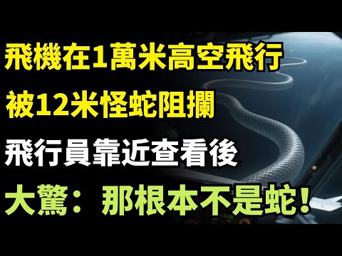 飛機在1萬米高空飛行，12米怪蛇突然閃現阻攔，飛行員靠近查看後，大驚：那根本不是蛇！