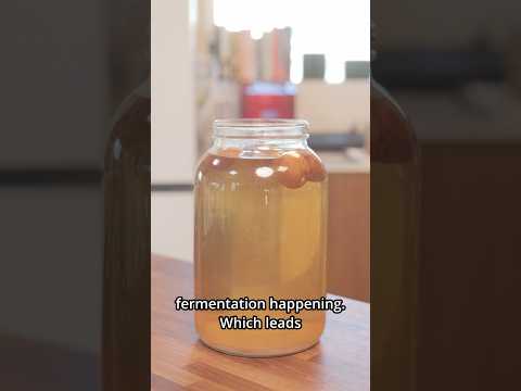 I TURNED MY FORGOTTEN SYRUP INTO WINE