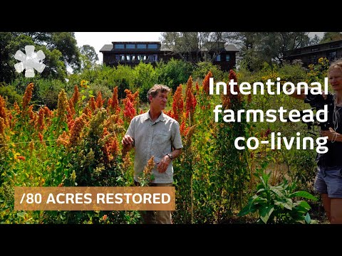 7 friends built restoration ecovillage. Outcome 50 years on