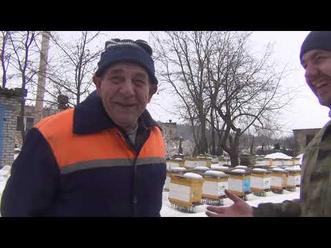 Основы хорошей зимовки пчелосемей. В  гостях у пчеловода с 70 летнем стажем пчеловождения.