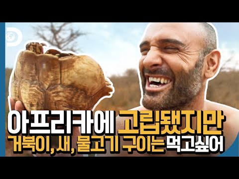 아니 이게 자연이야 자연☆곡이야?! 육해공 동물 싹 다 먹는 [고독한 생존가]