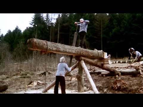 Oak Log to Planks: Traditional Diel Sawing
