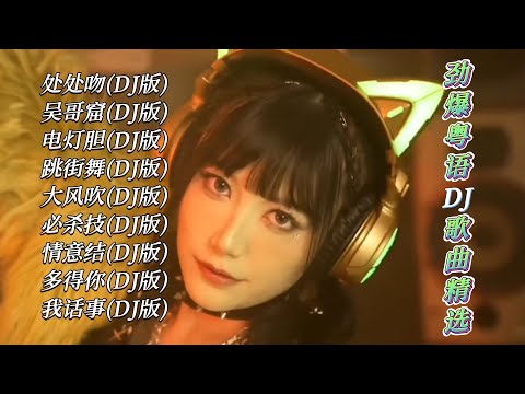 劲爆粤语DJ歌曲精选【Lyrics/動態歌詞】【高音质无损DJ】【KTV字幕】处处吻※吴哥窟※电灯胆※跳街舞※大风吹※必杀技※情意结※多得你※我话事