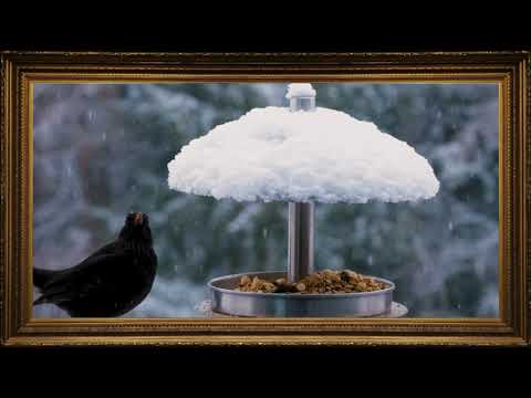 Winter Feast 4K | Bird Dining in a Snowy Wonderland | Frame TV Art Screen Saver | Frame Studio 4K