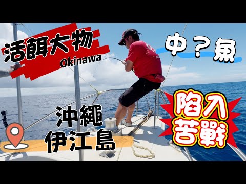 沖繩船釣（下集）沖繩本部町活餌釣大物！阿強 VS 終極巨魚，拉到全身虛脫！終於解鎖夢幻東星斑#沖繩 #本部町 #香輝丸 #活餌大物 #東星斑