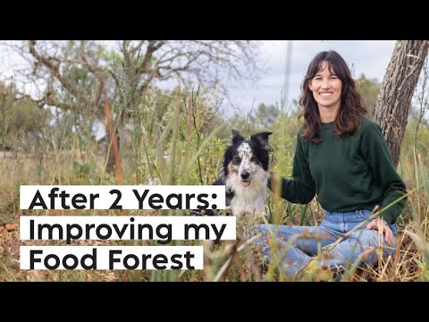 #51 Five Mistakes I Made Building My Mediterranean Food Forest (And How to Fix Them)