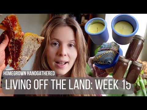 Harvesting honeycomb & rendering beeswax to make beeswax wraps, leather conditioner, and candles