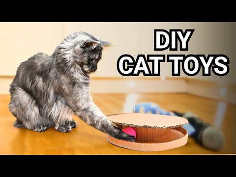 20 DIY Cat Toys Your Cats WILL Go CRAZY For! (& How To Make Them!)