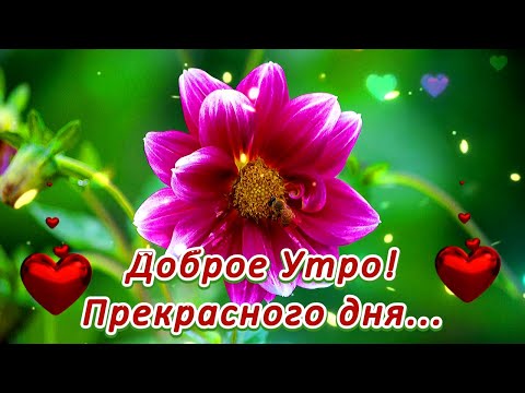 💖ДОБРОЕ УТРО! 💖САМЫЕ ДОБРЫЕ ПОЖЕЛАНИЯ💖 ПРЕКРАСНОМУ ЧЕЛОВЕКУ! 💖