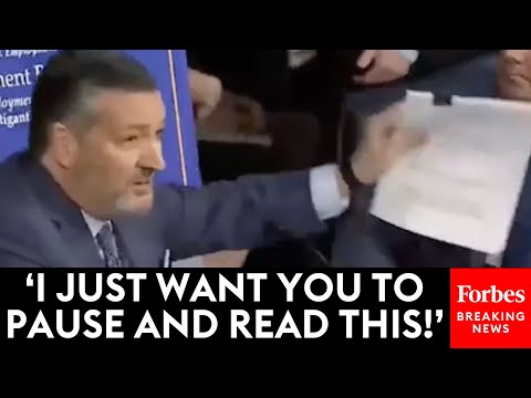 SHOCKING MOMENT: Ted Cruz Goes Nuclear On 'So Amazingly Unqualified' Biden Judicial Nominees