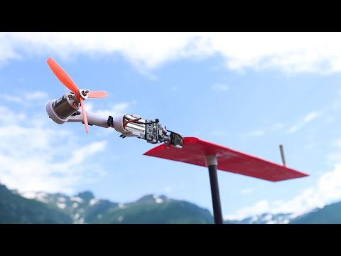 How Does This Fly With Only 1 Wing?