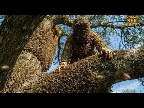 Terrifying Moment Wild Bee Hunters Face The Most Aggressive Hive Ever