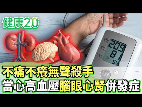 不痛不癢無聲殺手！當心高血壓腦眼心腎併發症【健康2.0分段】@tvbshealth20  EP3141-1 20251214 #陳欣湄#韋汝#江守山#林謂文#吳宏乾#陳麗華#雷議宗
