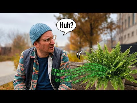 Did you know plants can talk?