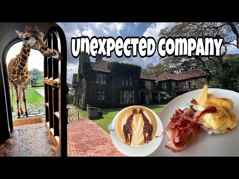 Eating Breakfast at the World’s Most Incredible Place - Giraffe Manor