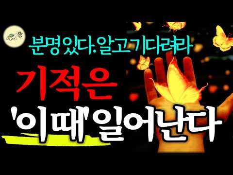 🐢걱정마라. 분명, 기적은 있다. '이럴 때' 이루어진다_바라는 대로 이루어진다