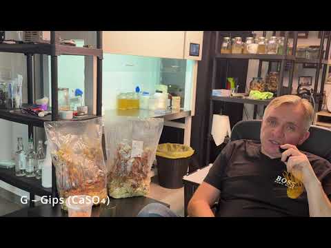 CVG in theory – the perfect substrate for mushroom fruiting 🍄 | Coconut + Vermiculite + Gypsum