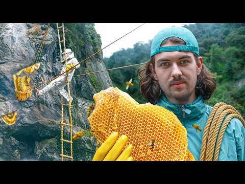 Ich jage Halluzinogenen Honig in Nepals Himalaya