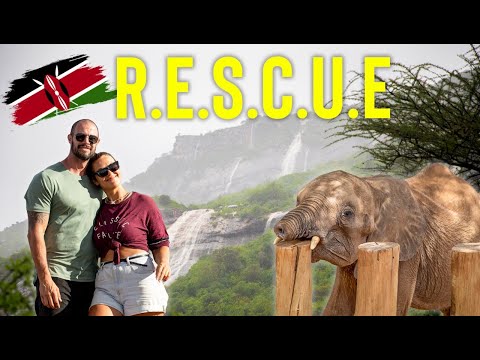 SAVING BABY ELEPHANTS IN KENYA! | Why you NEED to visit