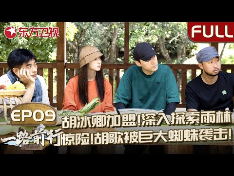 【#一路前行2 EP09】胡冰卿加盟！胡歌带领小分队继续探索西双版纳！胡歌被巨大蜘蛛袭击,太惊险了！｜#一路前行第二季｜#胡歌｜#胡冰卿｜#陈龙｜#西双版纳｜FULL