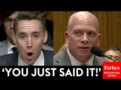 ABSOLUTELY BRUTAL: Josh Hawley Shows No Mercy To Airline Execs Over Fees And 'Terrible' Flights