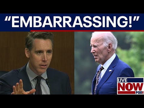 Hawley slams Dems: 'Who was really running the White House?'