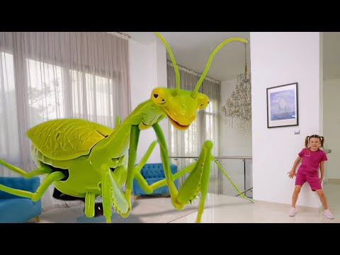 Kids Catch BUGS at Home! – Insect Names for Kids