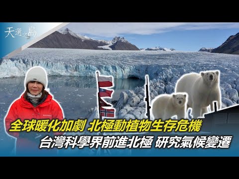 全球暖化加劇 海冰消融、冰層遽減 北極動植物生存危機｜北極永凍層崩解 釋溫室氣體 科學家憂致命病毒解封｜台灣科學界前進北極 研究氣候變遷｜天選之島｜陳雅琳｜華視新聞 20241201