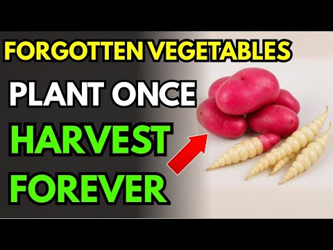 15 Forgotten Vegetables That Grow Like Weeds - The Lazy Gardener's Goldmine