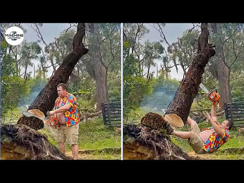 Idiots With Chainsaws: Tree Cutting Fails | Extreme Dangerous Logging Truck Fails