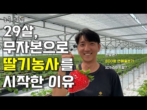 29살, 무자본으로 딸기농사를 시작한 이유