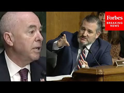 'You're Not Answering My Question!': Cruz Unleashes On Mayorkas To His Face