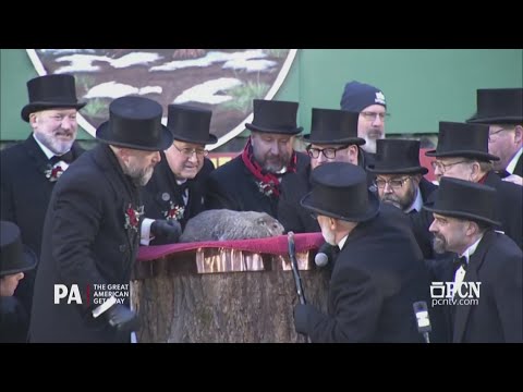 Groundhog Day 2025: Punxsutawney Phil sees his shadow, predicts 6 more weeks of winter