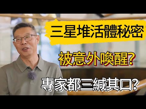 三星堆活體秘密被意外喚醒？專家都三緘其口？ #觀復嘟嘟 #馬未都 #圆桌派 #观复嘟嘟
