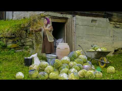 ALONE IN THE MOUNTAINS. Preparing Cabbage for Winter