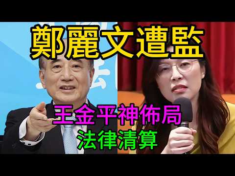這不是諜報片,這是台北街頭!鄭麗文帶回農漁民救命錢,竟換來冰冷追蹤器?王金平神佈局「抓內鬼」,尹乃菁發出最後通牒:法律清算開始了!#鄭麗文 #王金平 #尹乃菁 #和平紅利 #民族大義