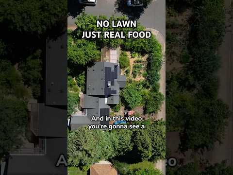 From Lawn to Food Paradise