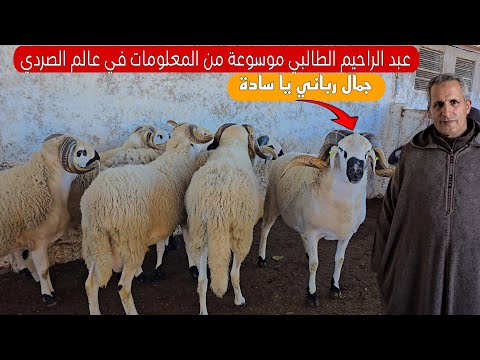 عشت أفضل لحظات حياتي في ضيعة الخير ضيعة عبد الرحيم الطالبي في نواحي مراكش، حولية ملكية فحول ضخمة