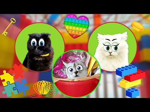 ЧЕЛЛЕНДЖИ с КОШКАМИ!!! Самые КРУТЫЕ и ЗАЛИПАТЕЛЬНЫЕ Челленджи на ЮТУБЕ!!!