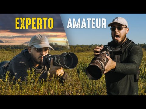 Top 5 Errores FATALES de Fotógrafos Principiantes de Vida Salvaje